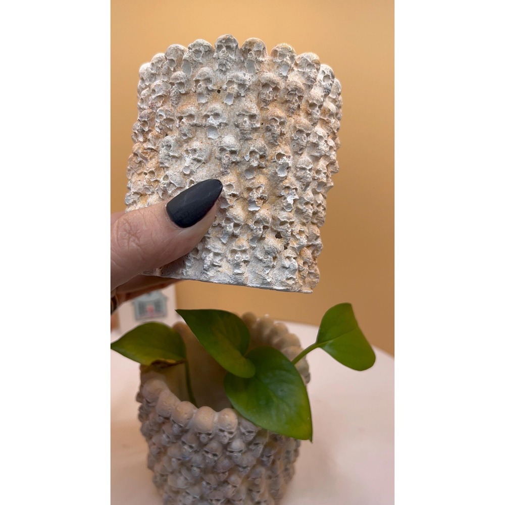 2 skulConcrete Planter – Handmade Cement Pot – Unique Textured– Handmade – - Picture 5 of 6